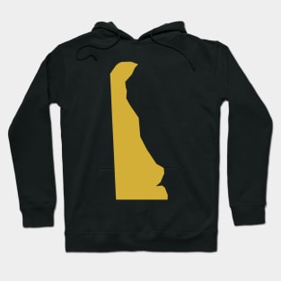 Delaware state map Hoodie